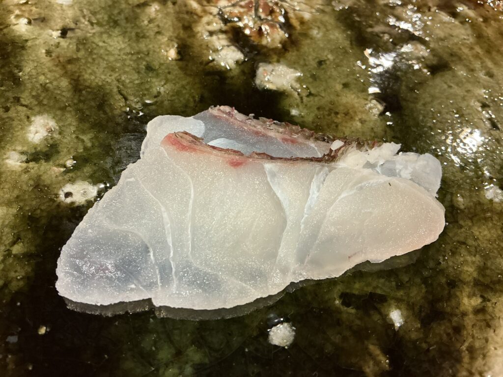 鮨桂太のマダイ