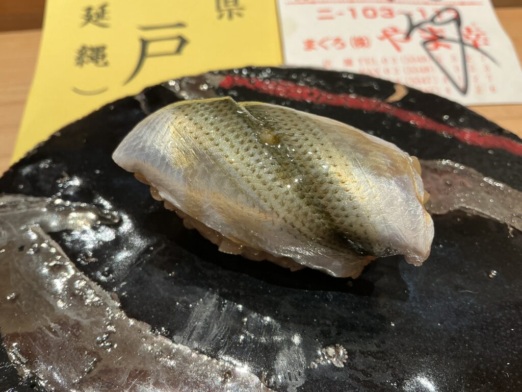 浅草壽司清のシンコ