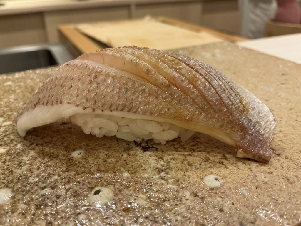 鮨もりなりのカスゴ