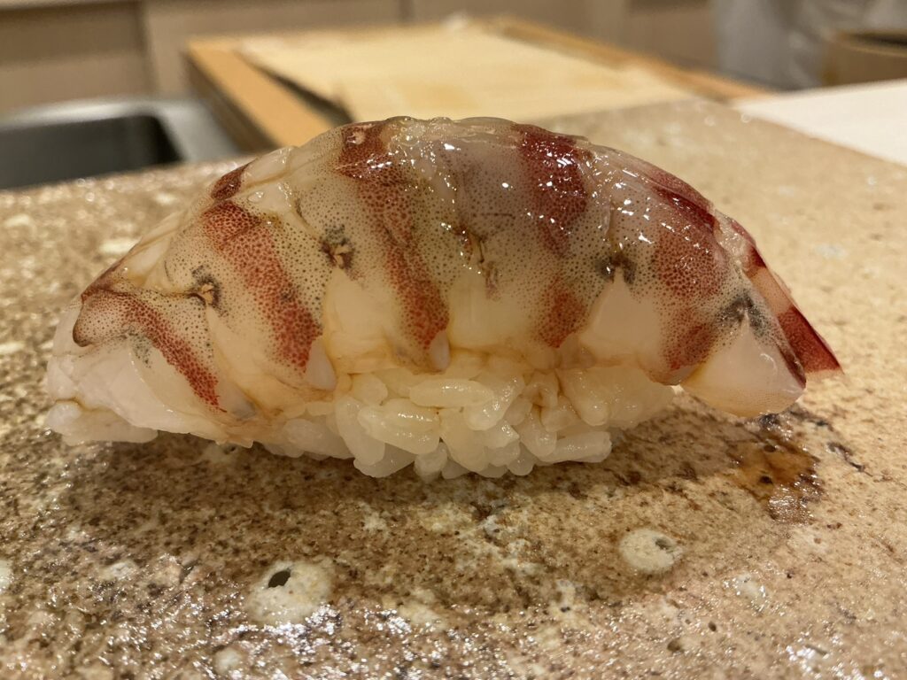 鮨もりなりのクルマエビ
