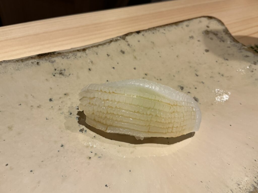 みついのアオリイカ