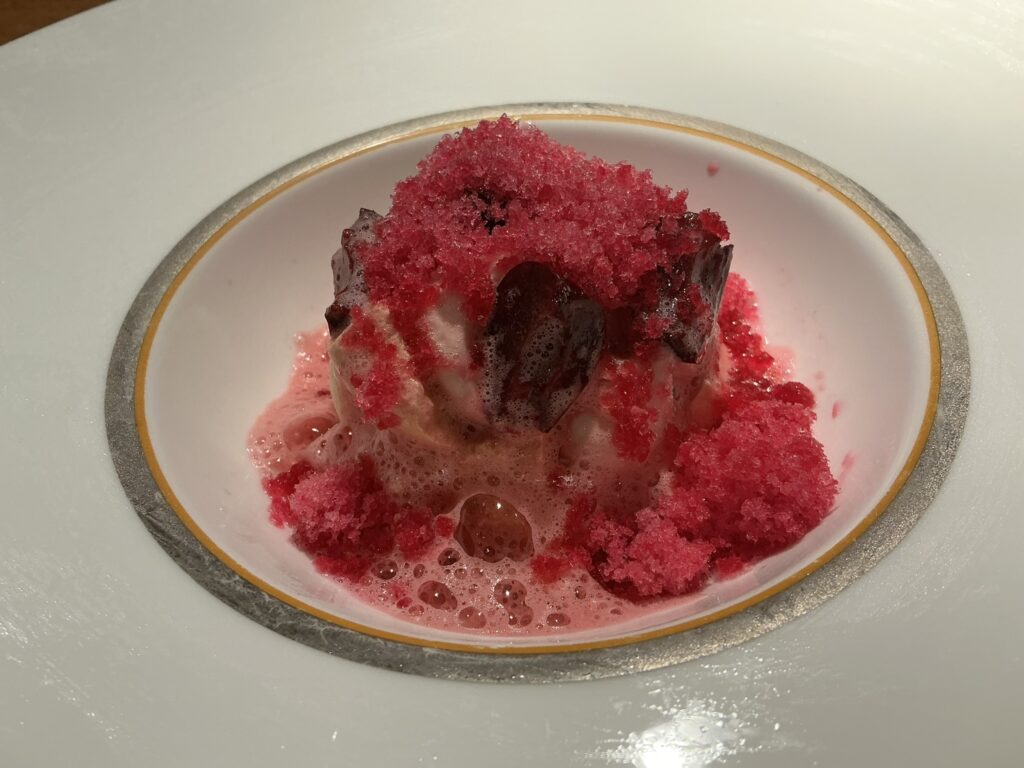 ランコニュの赤紫蘇 ハイビスカス アメリカンチェリー