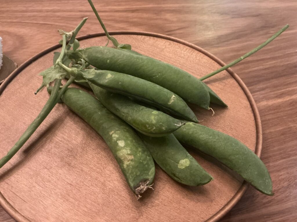 前芝料理店のピゼリ