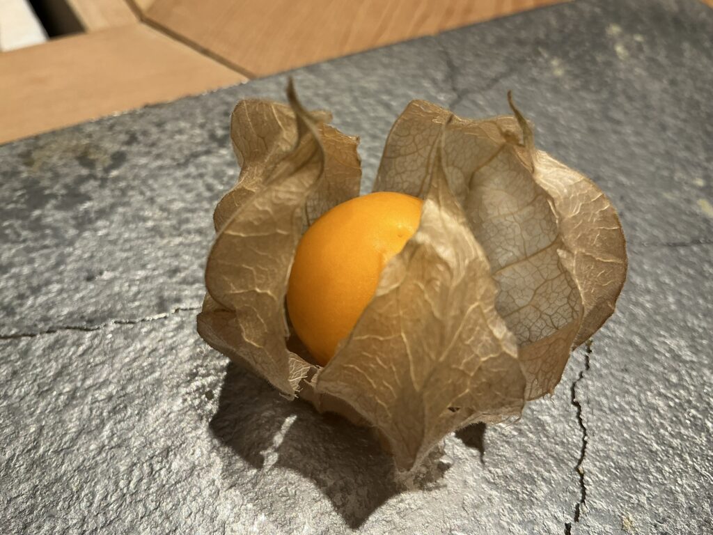 寿司栄のホオズキ