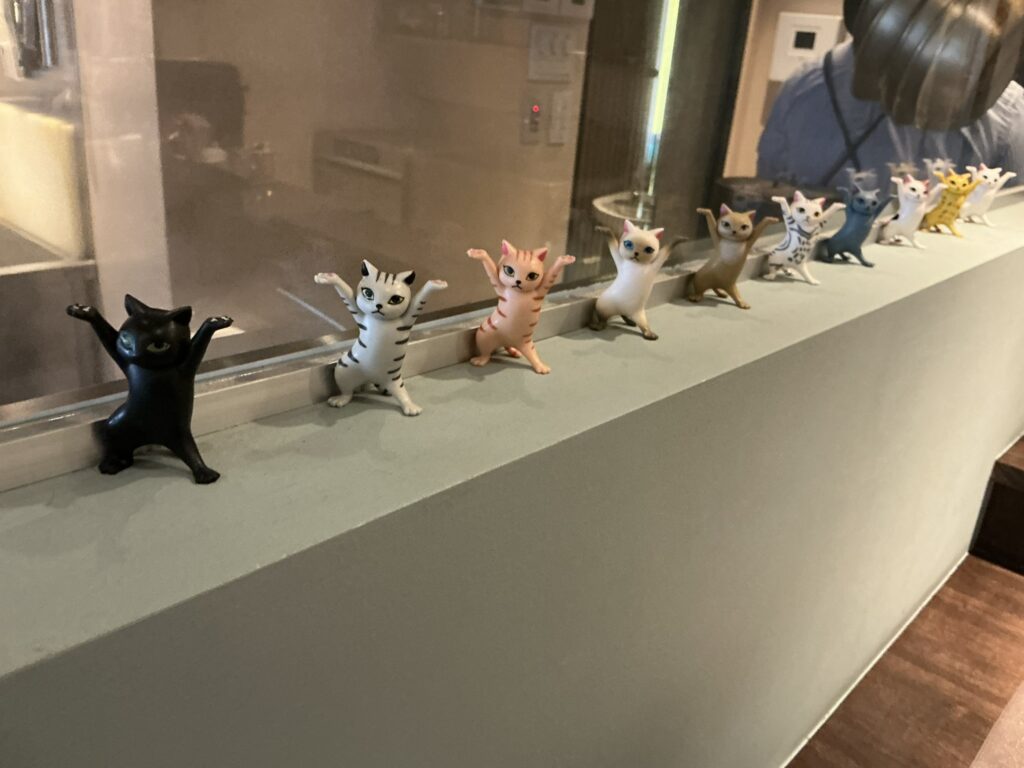 ルナ・エ・ガットの猫