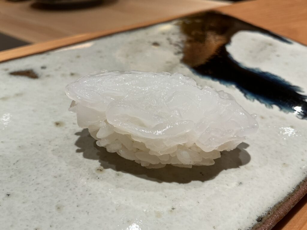 鮨つぼみのアオリイカ