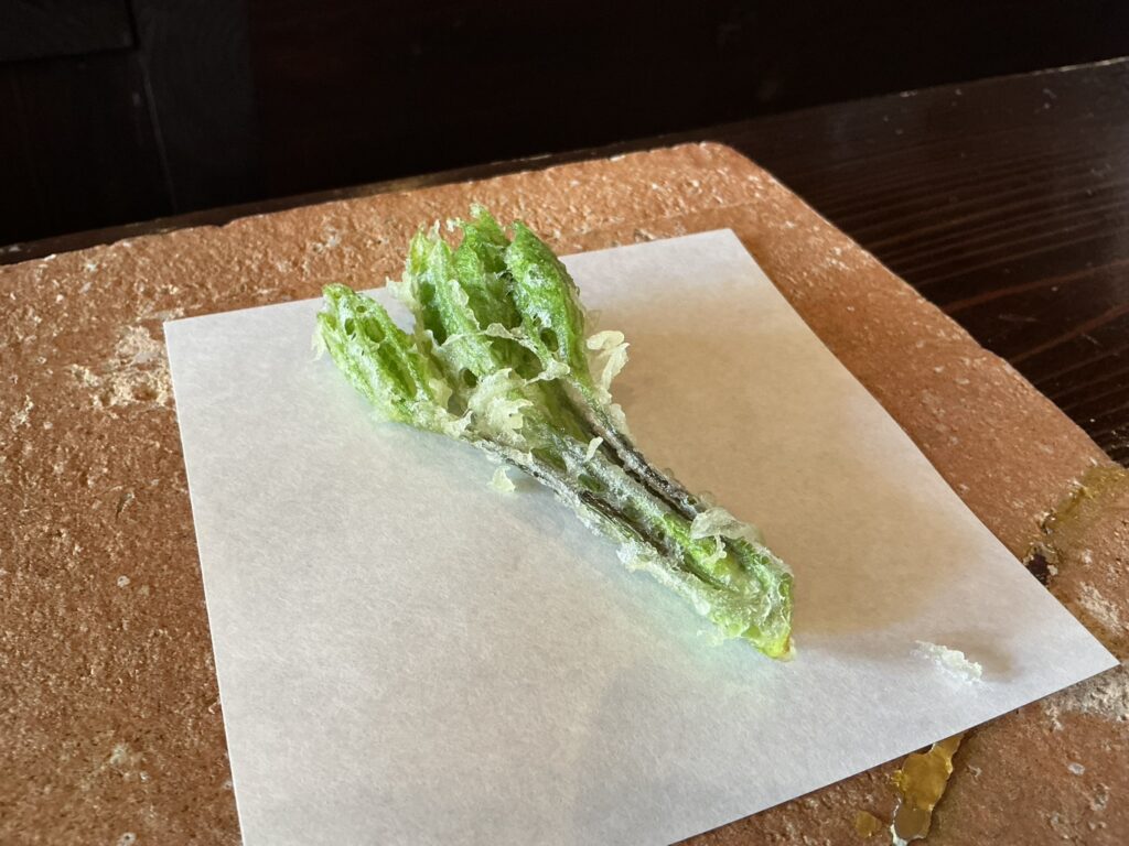 たでの葉のコシアブラ