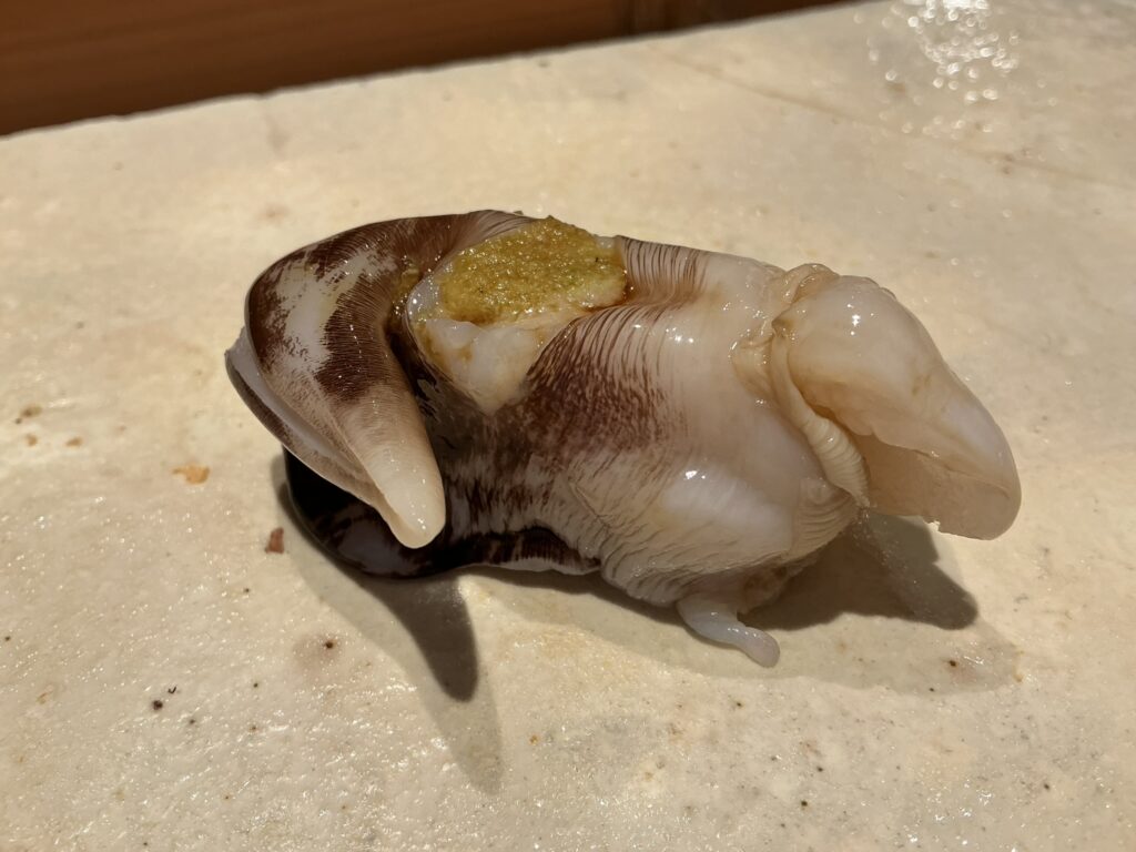 寿司清のトリガイ