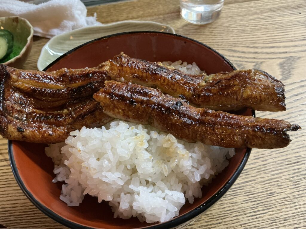 かぶとの鰻丼