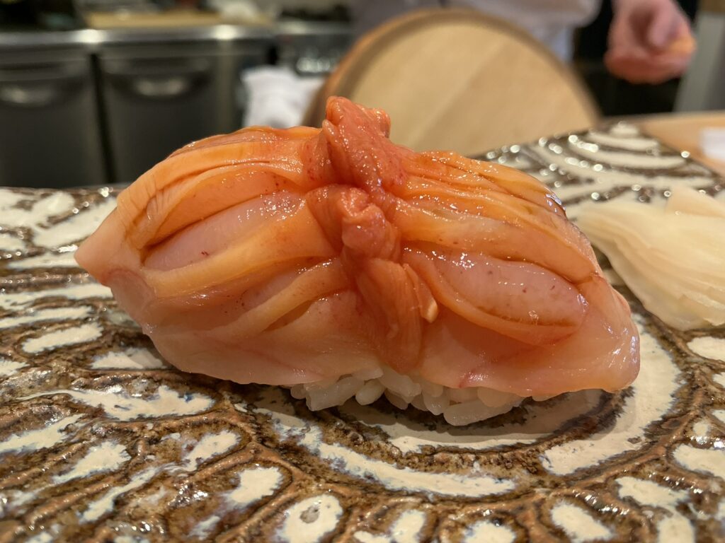 にゅーすてっぷのアカガイ