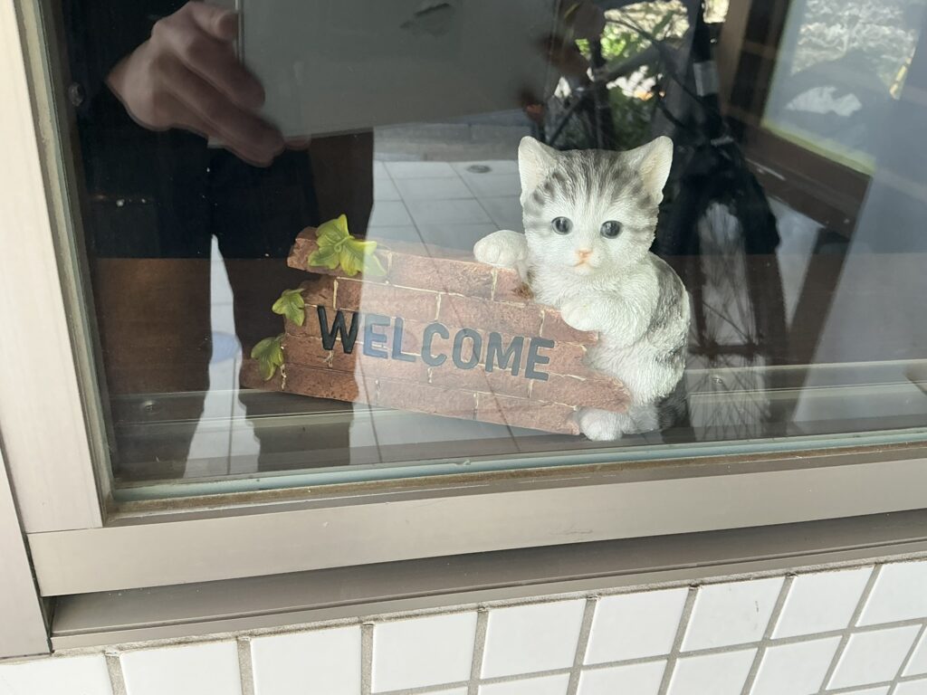 ルナ・エ・ガットの猫