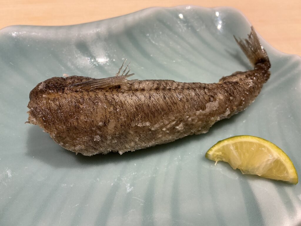 鮨せい大のメヒカリ