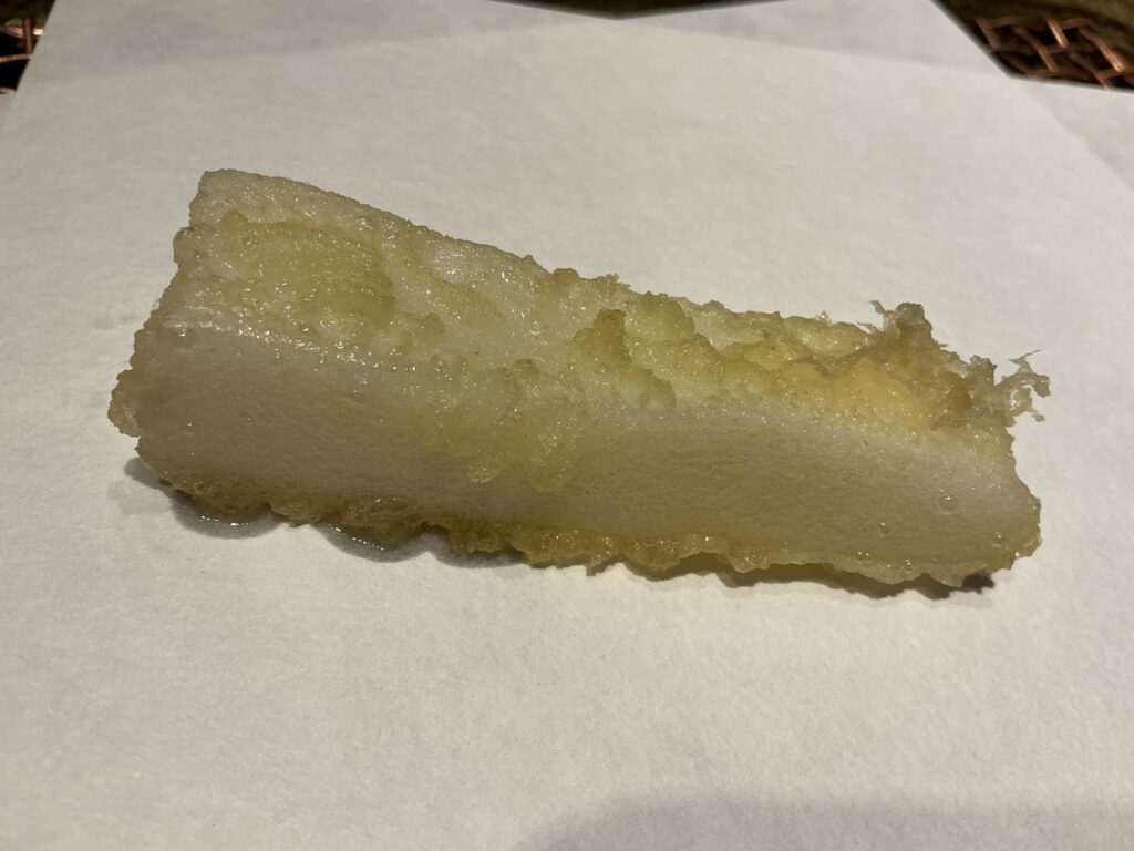 みかわ 是山居のアオリイカ