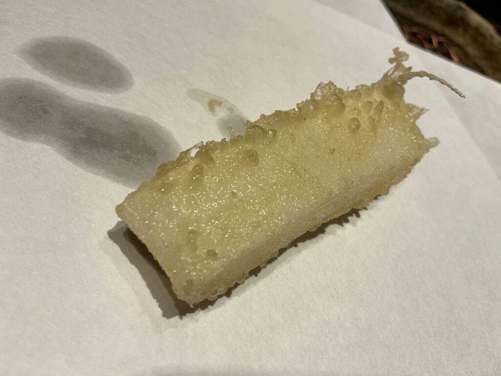 みかわ 是山居のアオリイカ
