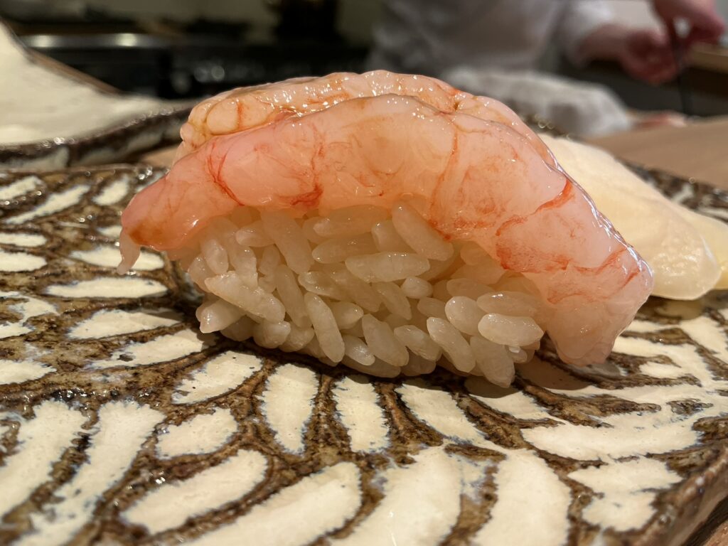 にゅーすてっぷのアマエビ