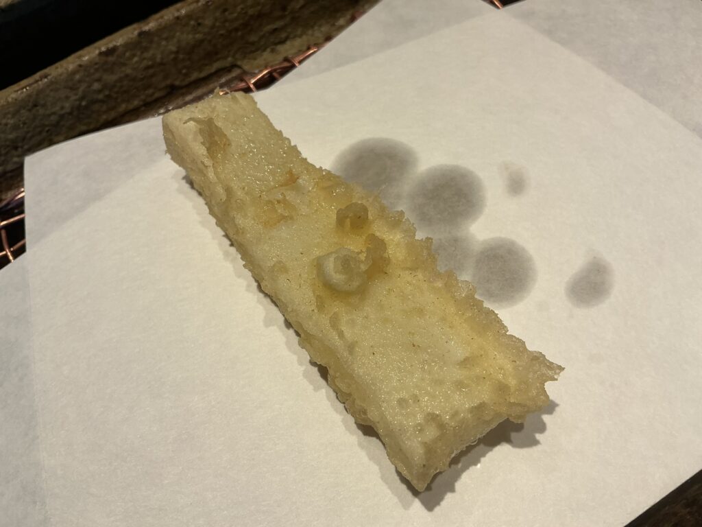 みかわ是山居のアオリイカ