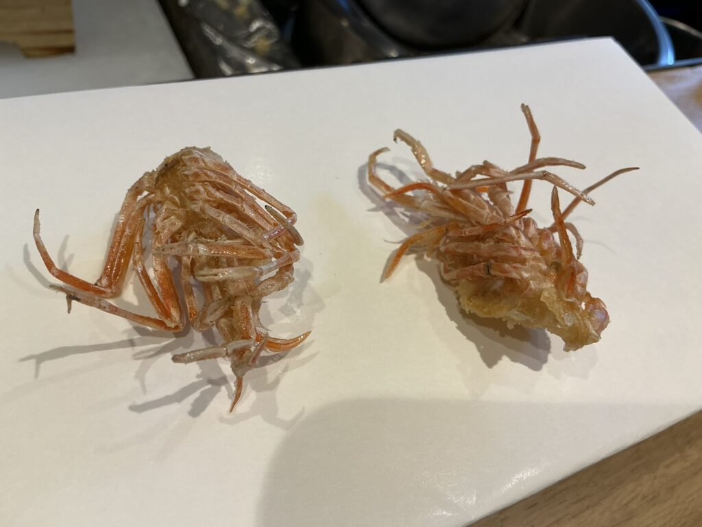 福たろうのクルマエビ