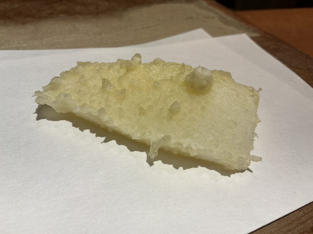 天ぷらやぐちの新イカ