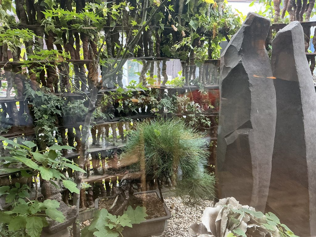 みかわ是山居のお庭